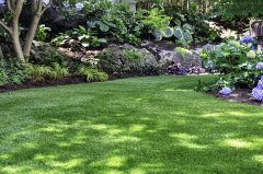 afbeelding van een tuin met gazon en planten